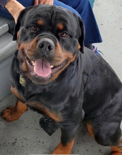 DC5B9AE5-1B99-4EED-9223-3A8142159A49