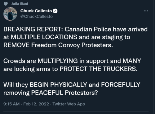 Breaking Truckers 1