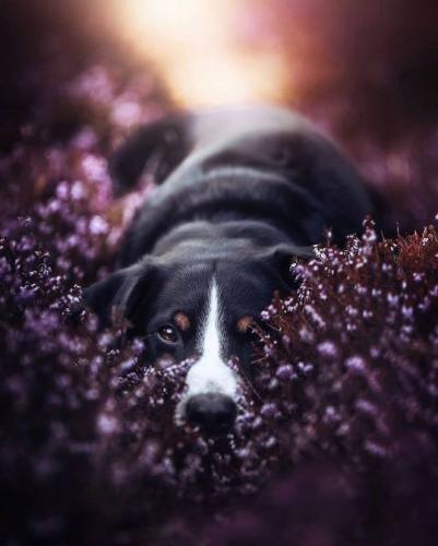 tumblr_44ddb23b32d7a3ff5b1dee5a7d63ce95_2e5192b8_540