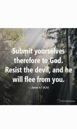 Screenshot_20220216-165901_Gallery_1_1