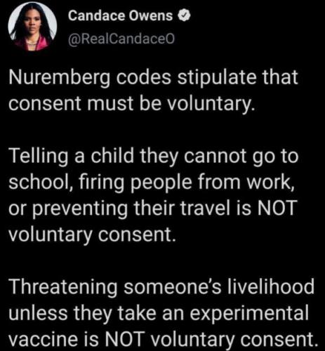 candace owens41