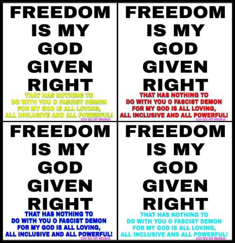 MY RIGHTS  AND FREEDOM