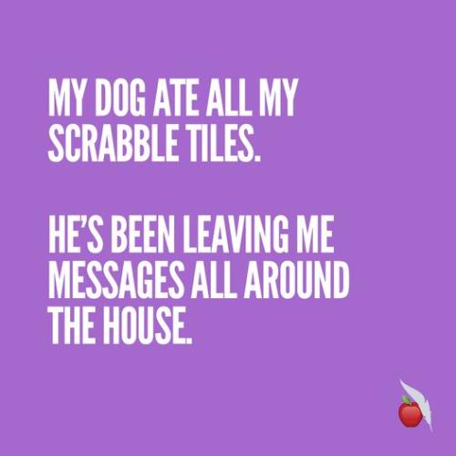 273413421_10158461424656891_7396203944003666496_n