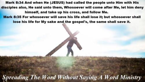 66372350_2413597185389065_4648250509537312768_n