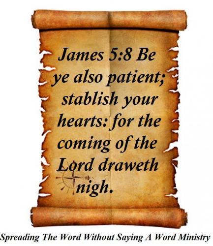 64424112_2379865552095562_6640057110774153216_n