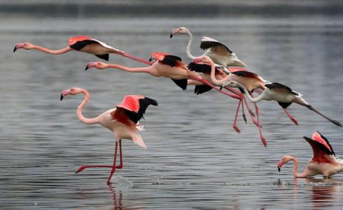 273306341_1757395361126473_640829677919055491_n