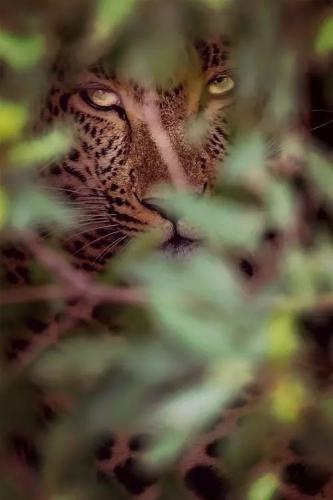 tumblr_cb6709baa86296c8138ecf593787ebc9_a8c91031_500