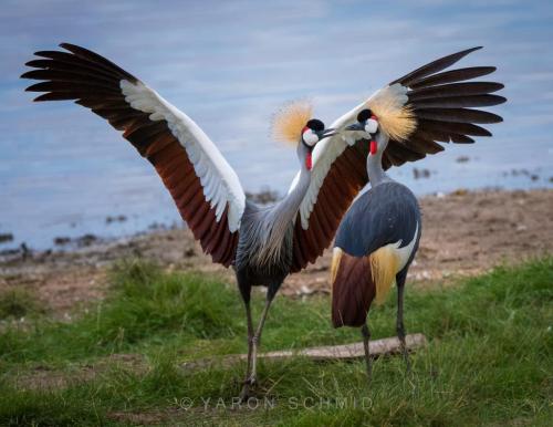 273894510_472635470978043_4244608511783484262_n