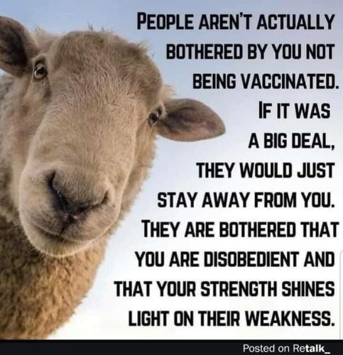 10:01:27 GMT-0600 (CST)