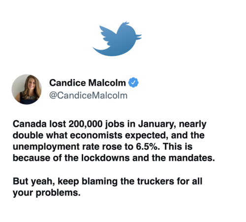 273296135_1555138538193203_6654117654691997310_n