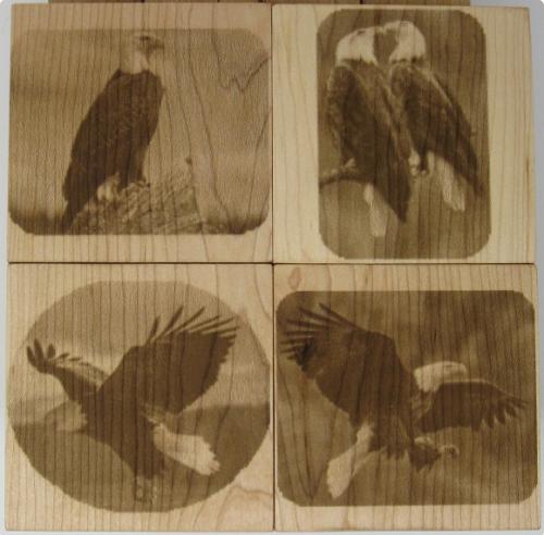 eagle coasters - hard maple