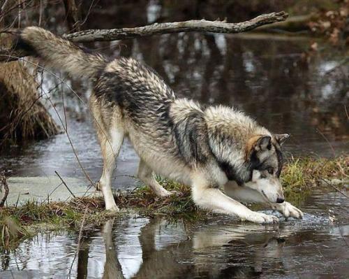 f424a0475422582aba40add4968c6ac2