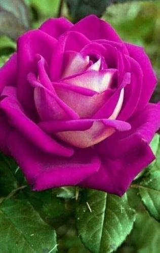 19:03:57 GMT-0600 (CST)