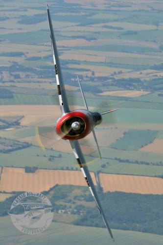 273636606_493062772178759_4209024103754935294_n