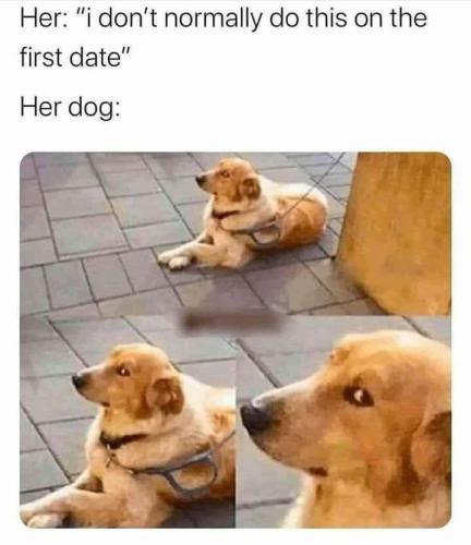 FB_IMG_1645823268464