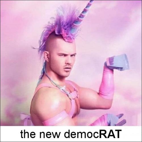 democrats489