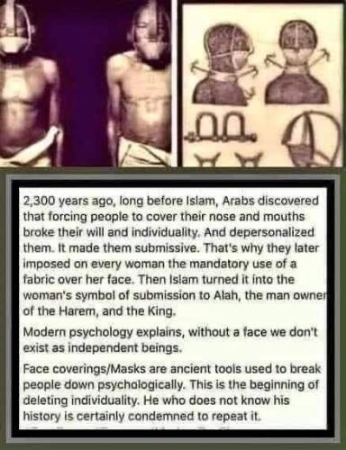 FB_IMG_1644774486126