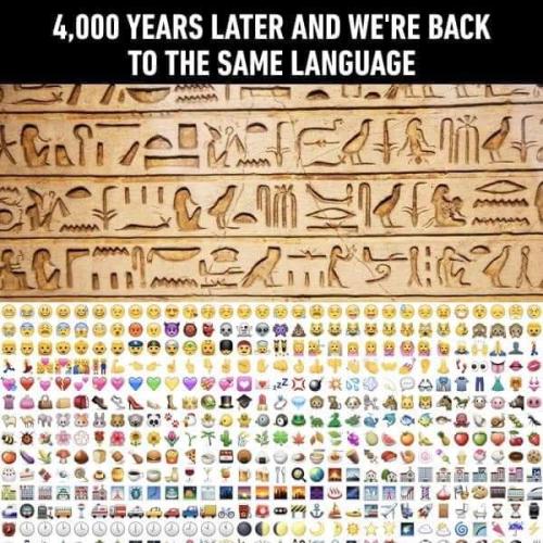 FB_IMG_1644913332235