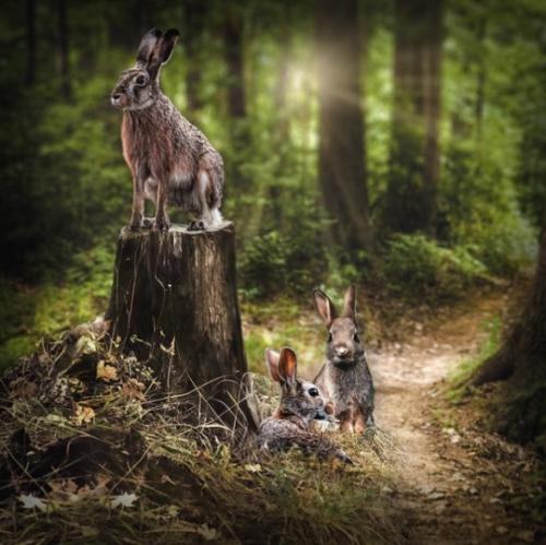 tumblr_1dd89b7a2e7d73d13a69c9ded5dd9ae9_68d37a87_540