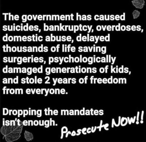 Mandates Gov 1