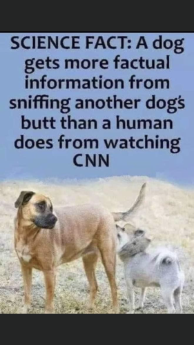 09:17:31 GMT-0500 (EST).image