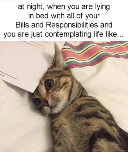 contemplating life