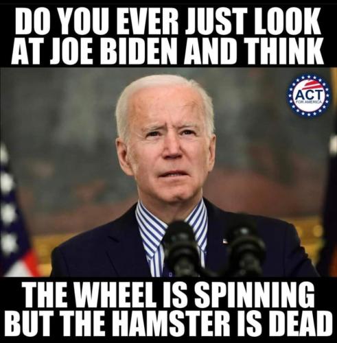 FB_IMG_1643716774252