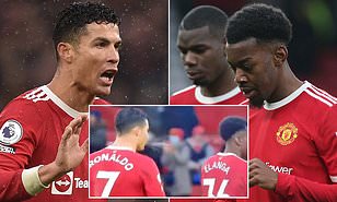 download - 2022-02-13T000103.994