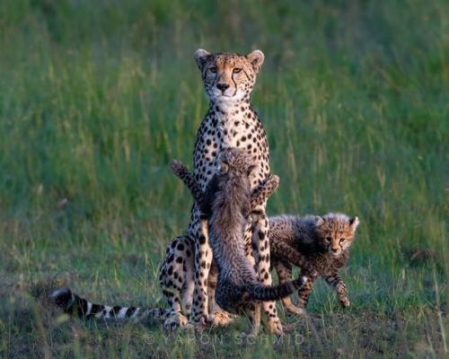 273842723_471439577764299_2369796587965015632_n