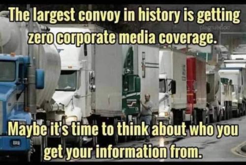 msm175