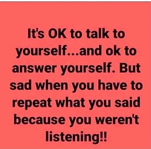 272921434_457100135878553_5341023324048961836_n