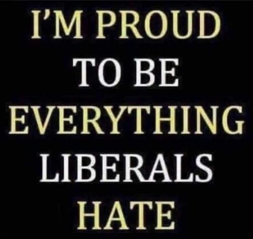 liberals270