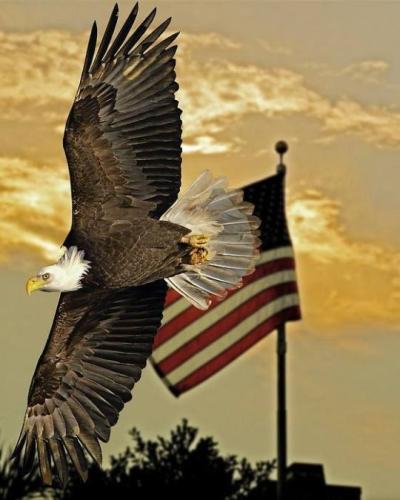 15:02:50 GMT-0600 (CST)