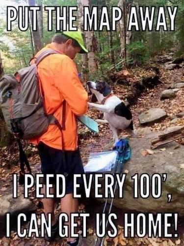 273868080_5021430514566583_2064865933024037069_n