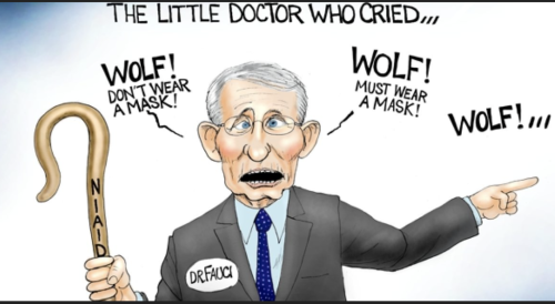 95e56c90-8026-49b6-8067-a26c79083541_1488x818