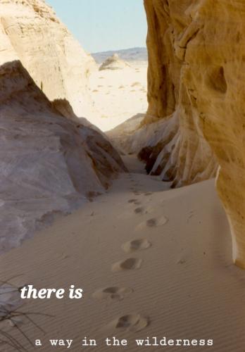 Screenshot_20220227-070759_DuckDuckGo