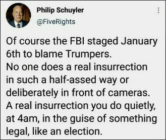 voterfraud291