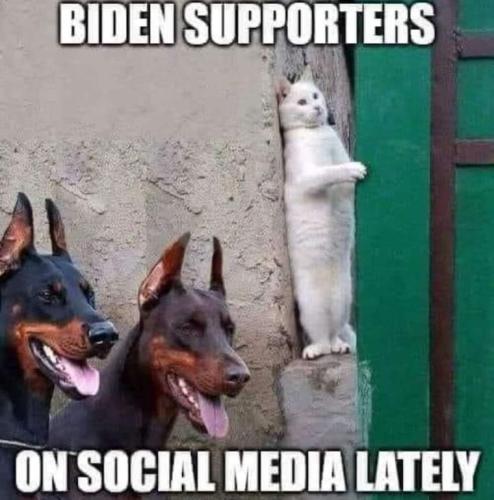FB_IMG_1644214126099