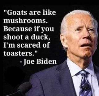 FB_IMG_1645340336935