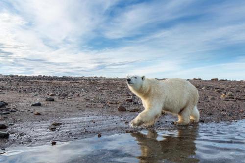 273701952_1762207170645292_1972847508713264742_n