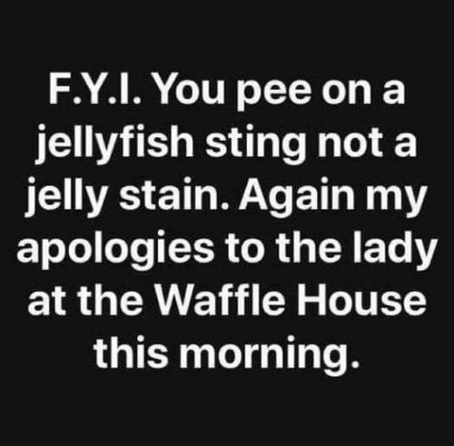 FB_IMG_1645762113905