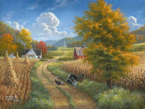 ! Abraham Hunter - Wild turkeys in the country