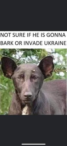 FB_IMG_1645079648166