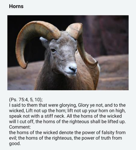 Screenshot_20220202-115302_Notes