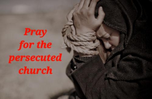 Screenshot_20220217-064525_DuckDuckGo