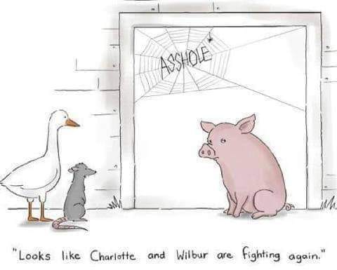 274072870_5257705520928869_2371376973803513915_n