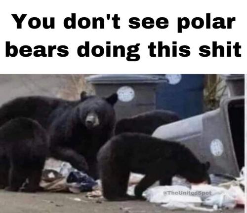 273935845_1042173083321905_2641717662371059728_n