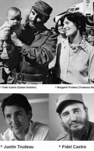 Screenshot_20220222-132826_Gallery