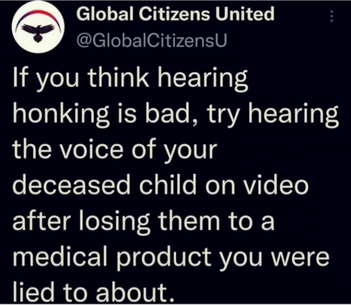 ee800f49e6c1c822