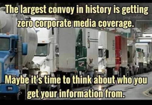 273762083_481625599984894_6152833525279227758_n